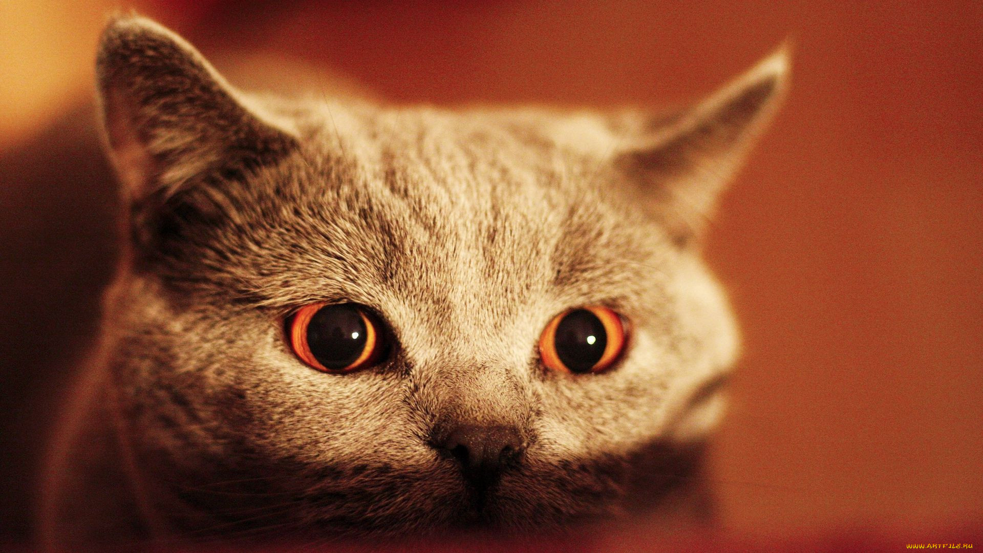 , , , , , , , , 